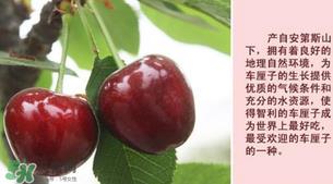 新鲜车厘子怎么保存？新鲜车厘子能保存多久？
