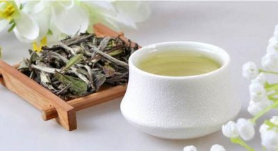​福鼎白茶用多少度的水 福鼎白茶可以多次冲泡吗