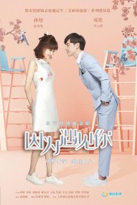 ​《因为遇见你》是翻拍韩剧《我爱张宝利》吗？剧情怎么那么像？