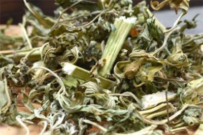 ​益母草男人可以吃吗 男人吃益母草的功效
