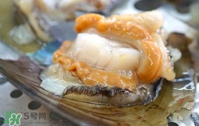 ​带子哪里不能吃？带子有什么营养价值