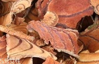 鸡血藤和鸡矢藤是一样的吗 它们不一样
