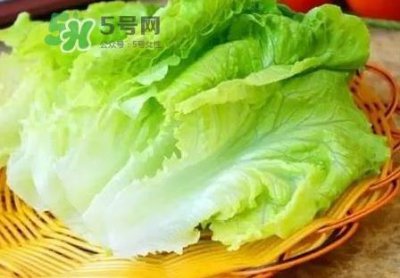 ​生菜变红还能吃吗_生菜变红是什么原因
