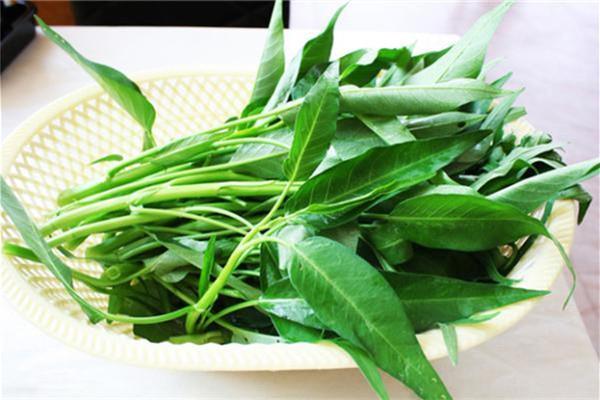 空心菜降血压血糖吗 空心菜的功效和作用