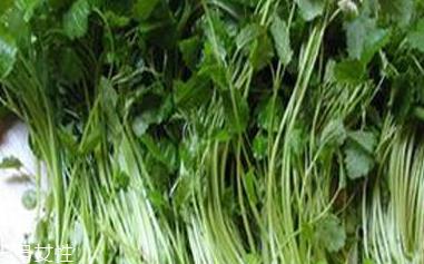 益母草的营养价值 营养价值极高