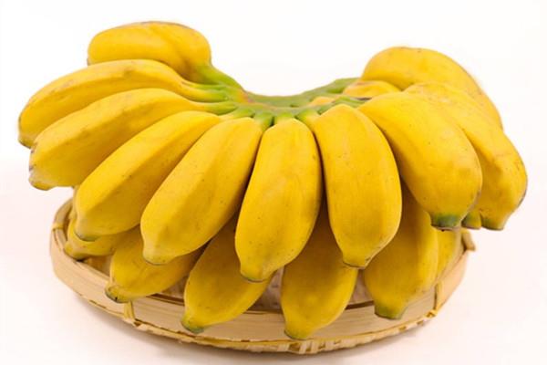 芭蕉有助于减肥吗 芭蕉能降血压吗