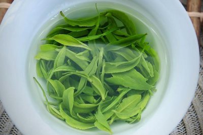 ​绿茶是什么味道 四种混合味道