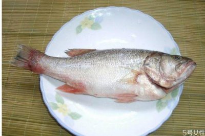 ​什么是海鲈鱼呢 海鲈鱼有什么营养价值呢