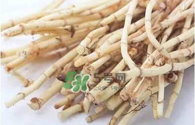 折耳根怎么清洗？折耳根如何冼才干净