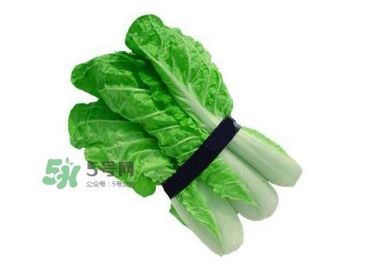 水白菜可以吃吗？水白菜能吃吗