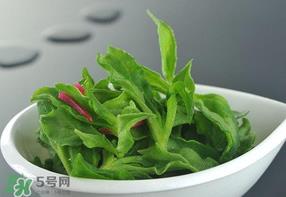 冰草可以放冰箱吗？冰草能用冰块保存吗？