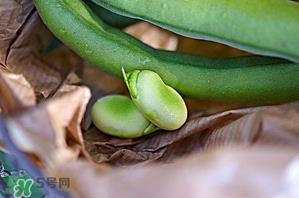 蚕豆可以放冰箱吗？新鲜蚕豆可以放冰箱吗？