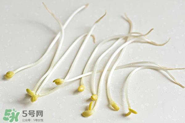 黄豆芽能做馅料吗？黄豆芽馅包子怎么做？