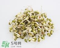 黄豆芽能做馅料吗？黄豆芽馅包子怎么做？