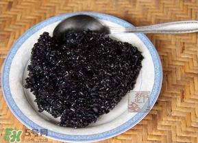 乌饭用什么叶子煮？乌饭用什么叶子图片？