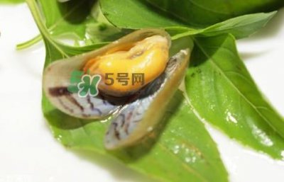 ​薄壳怎么读？薄壳怎么洗干净