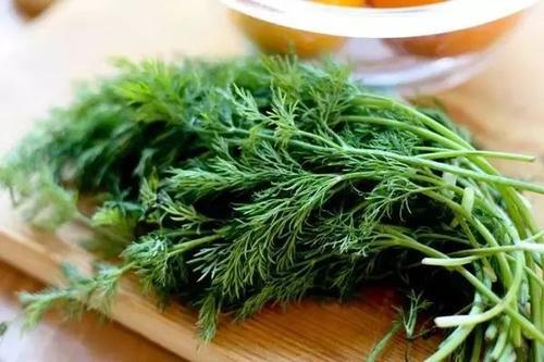 茴香能生吃吗 凉拌茴香怎么做好吃