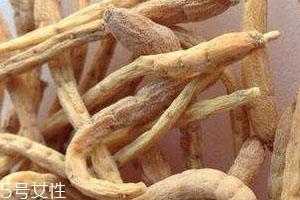 太子参可以泡酒吗 泡酒方法