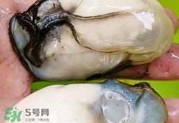 吃生蚝为什么睡不着?吃生蚝睡不着怎么办?