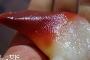 北极贝能不能煮？煮北极贝可以吗？