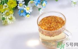 桂花茶可以加蜂蜜吗？桂花可以和蜂蜜一起泡吗？
