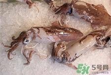 墨鱼的营养价值 墨鱼的功效与作用