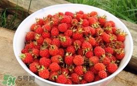 山莓是覆盆子吗？山莓和覆盆子的区别