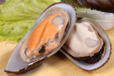 ​青口贝的热量 青口贝吃多了会胖吗