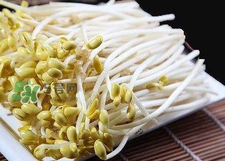 豆芽有根好还是无根好？无根豆芽与有根豆芽区别