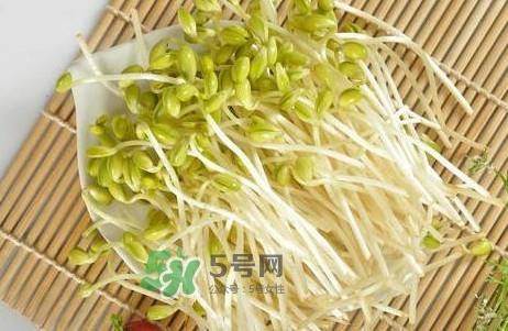 豆芽有根好还是无根好？无根豆芽与有根豆芽区别