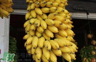 ​孕妇可以吃芭蕉吗？吃芭蕉有什么好处