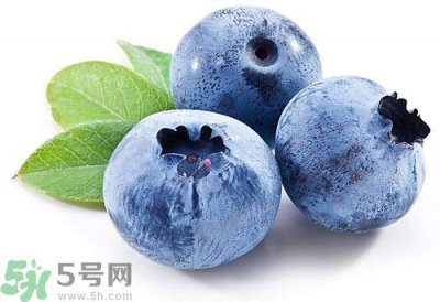 ​蓝莓皮可以吃吗?吃蓝莓要吐皮吗