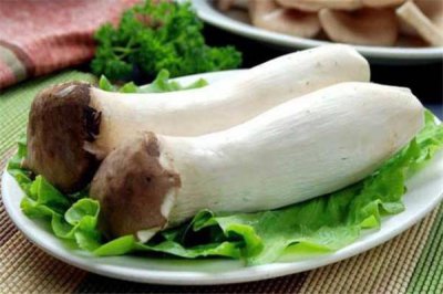 ​杏鲍菇变黄了还能吃吗 杏鲍菇变黄怎么回事