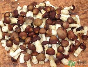 草菇可以放冰箱吗？草菇放冰箱还能吃吗？