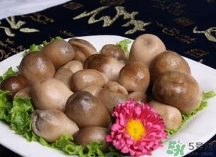 草菇可以放冰箱吗？草菇放冰箱还能吃吗？