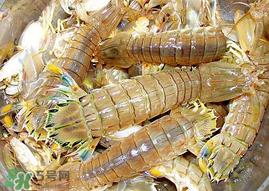 虾爬子能冷冻吗？虾爬子可以冷藏吗？