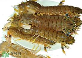 虾爬子能冷冻吗？虾爬子可以冷藏吗？