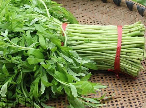 藜蒿什么季节有？藜蒿是发物吗