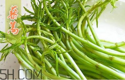 ​藜蒿什么季节有？藜蒿是发物吗