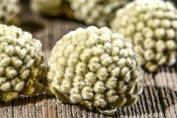 绿萝花茶喝多了伤肾吗 绿萝花茶喝了上火吗