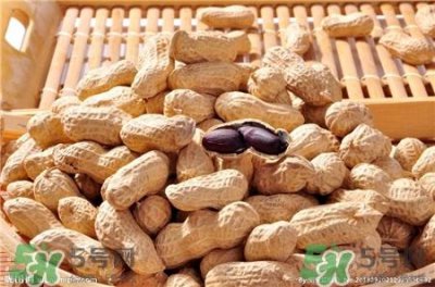 ​黑花生是什么?黑花生是转基因吗?