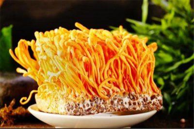 ​虫草花有酸酸的味道是为什么 虫草花为什么有酸酸的味道