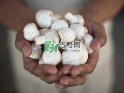 ​口蘑是发物吗？口蘑是白蘑菇吗