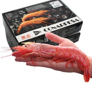 阿根廷红虾能白灼吗？白灼阿根廷红虾好吃吗？