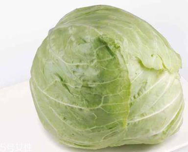 牛心菜能多吃吗？牛心菜吃多了会怎样？