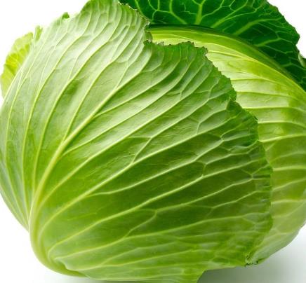 牛心菜能多吃吗？牛心菜吃多了会怎样？