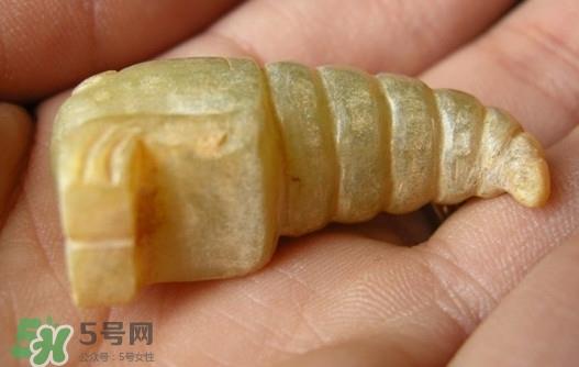 蝉蛹能吃吗？蝉蛹怎么做好吃
