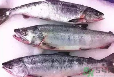 ​三文鱼可以和南瓜一起吃吗?三文鱼能和南瓜同吃吗?