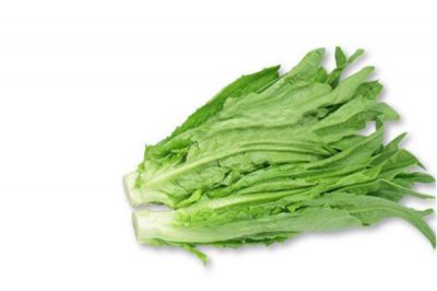 ​油麦菜是莴苣叶子吗 油麦菜是什么季节的蔬菜