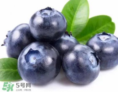 ​蓝莓和梨子能一起吃吗？蓝莓雪梨果汁的做法